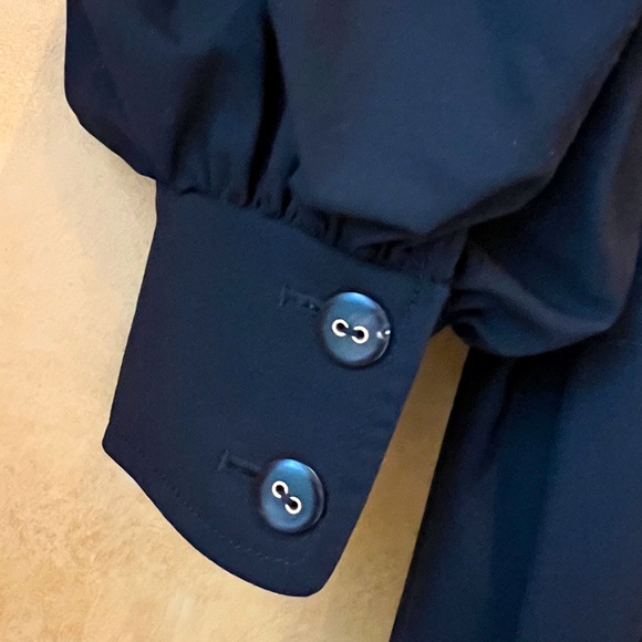 Badgley Mischka Black Midi Dress with Balloon Sleeves - Picture 9 of 14